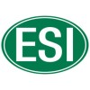 ESI s.p.a.